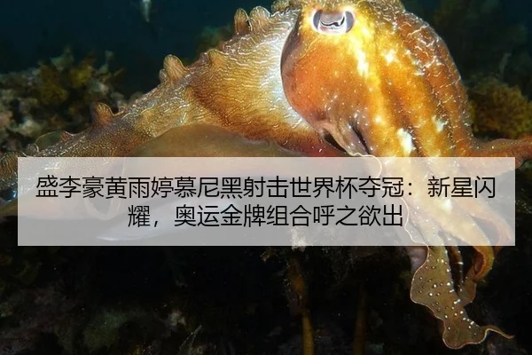 sheng-li-hao-huang-yu-ting-mu-ni-hei-she-ji-shi-jie-bei-duo-guan-xin-xing-shan-yao-ao-yun-jin-pai-zu-he-hu-zhi-yu-chu-2-575.jpg